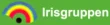 Irisgruppen logo i grøn for Samsynsklinikken, specialister i neurologisk forsinket udvikling og samsynsproblemer.